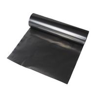 0.13mm NATURAL GRAPHITE SHEET 